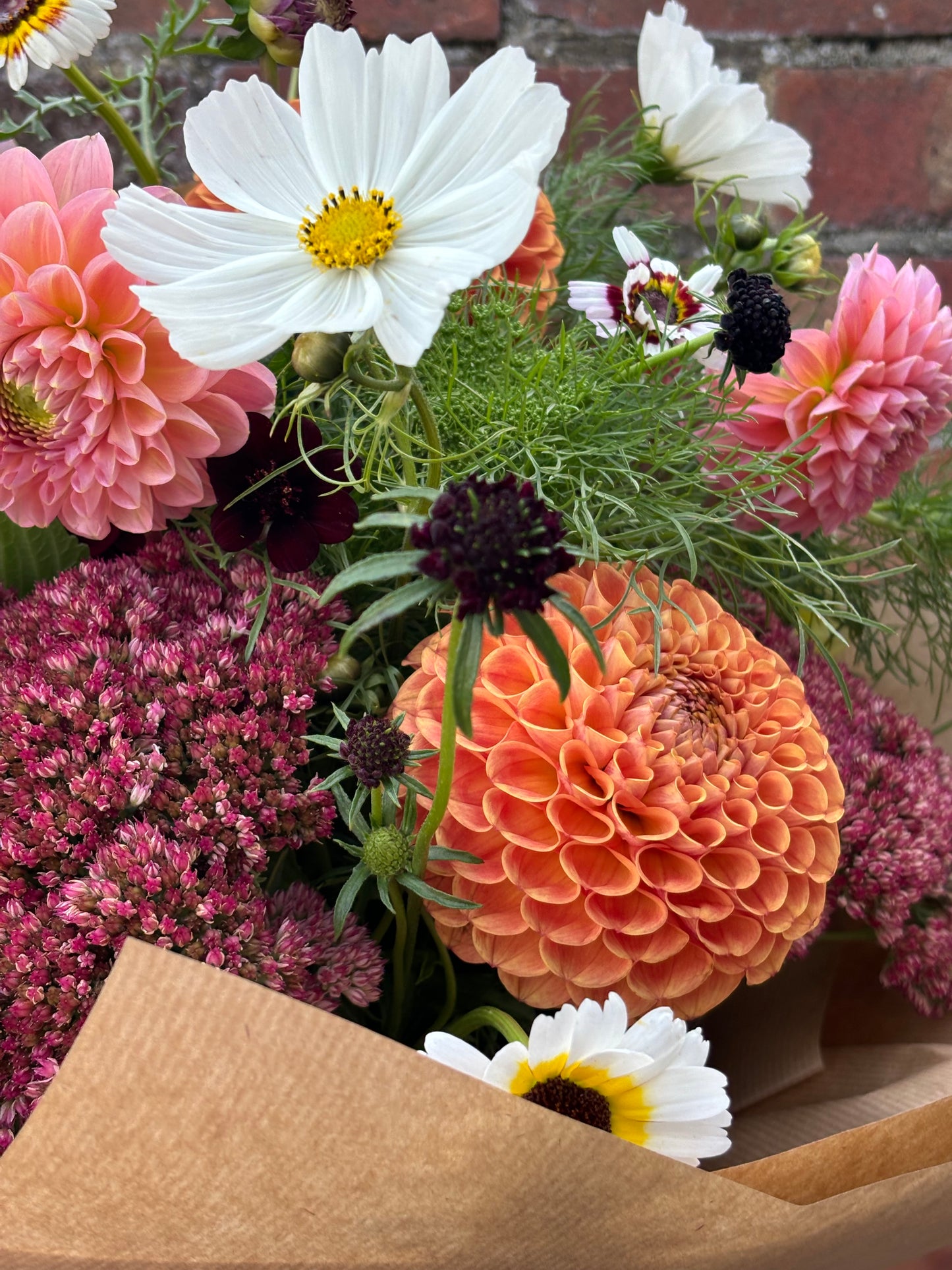 Friday Flowers