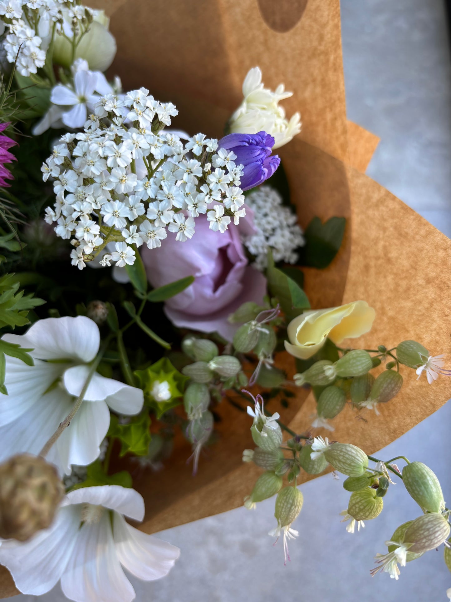 Friday Flowers